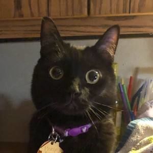 Meet your Posher, Rhonda